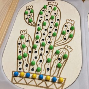 Petit Couvercle Trofast Cactus