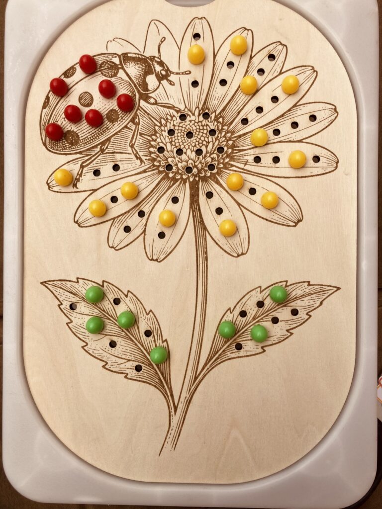 Insert Trofast fleur et coccinelle