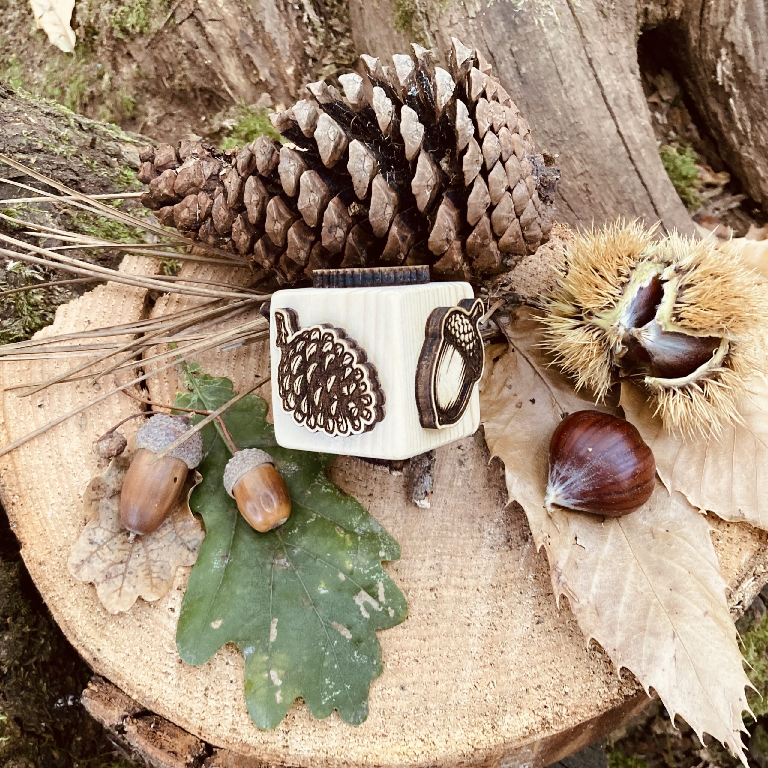dé tampon pour empreinte sur le thème de l'automne, arbres et et leurs fruits (Chêne, gland, Chataigniers, chataigne, pin et pomme de pin), à utiliser avec la pate à modeler, argile