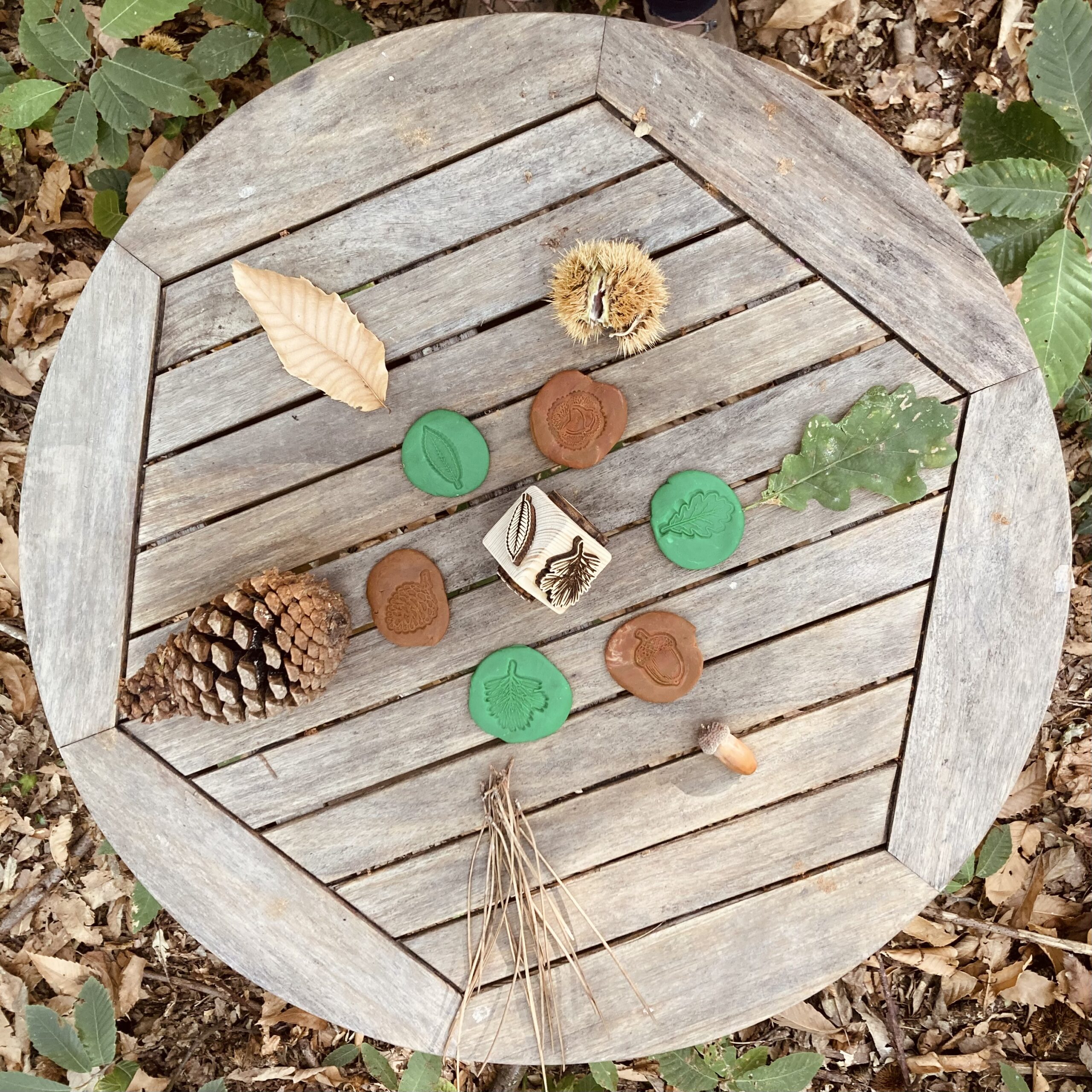 Dé des arbres de la forêt – Image 5