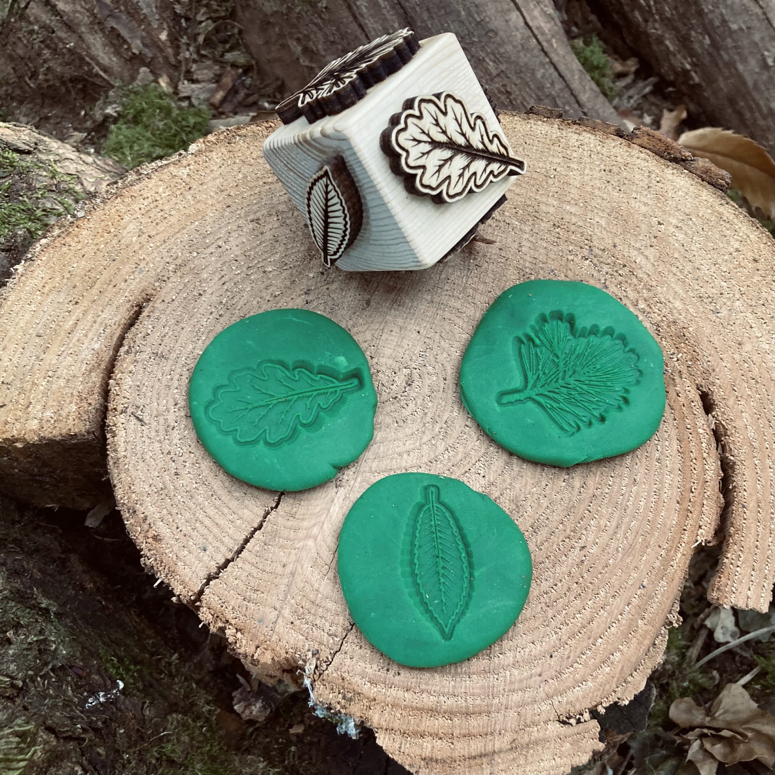dé tampon pour empreinte sur le thème de l'automne, arbres et et leurs fruits (Chêne, gland, Chataigniers, chataigne, pin et pomme de pin), à utiliser avec la pate à modeler, argile