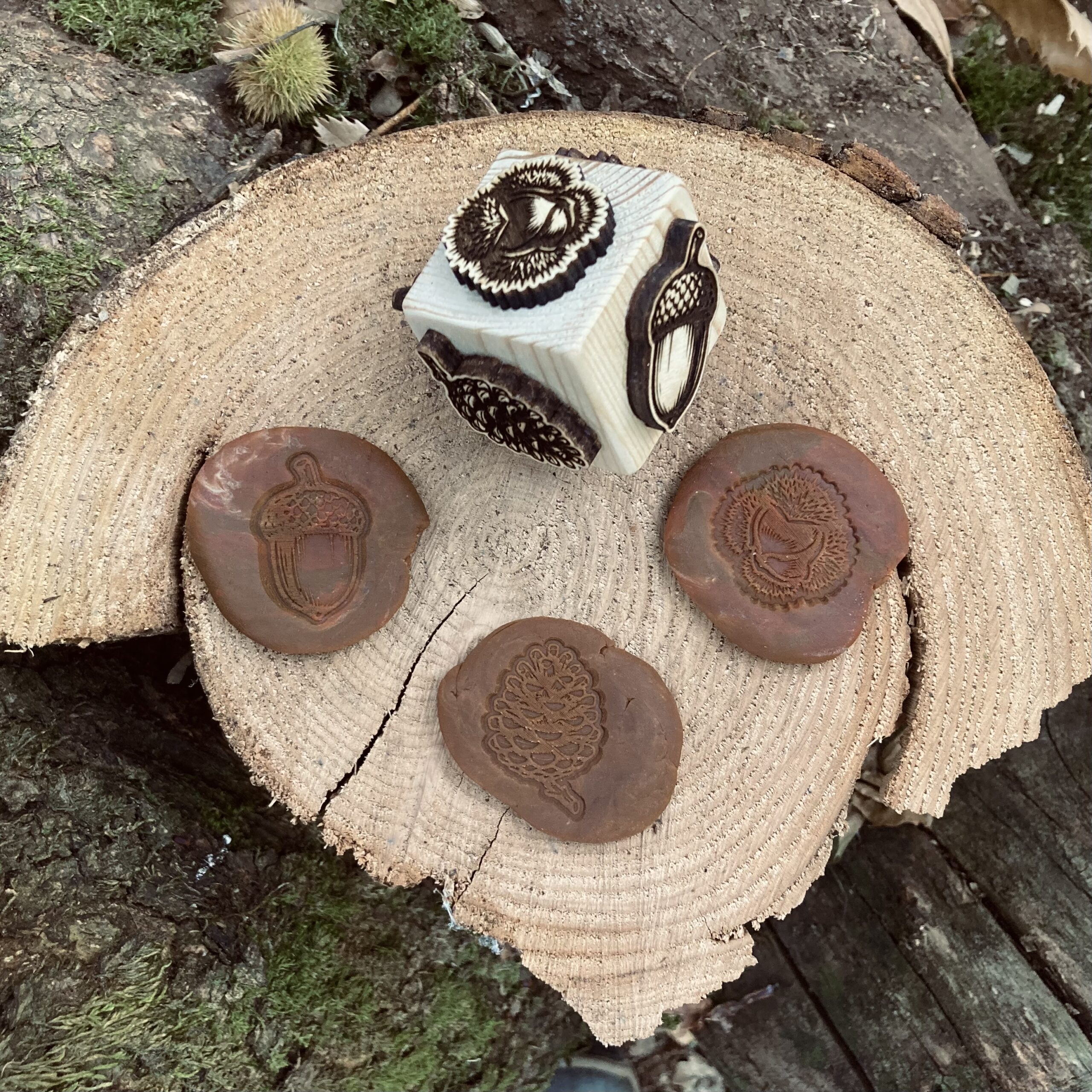 dé tampon pour empreinte sur le thème de l'automne, arbres et et leurs fruits (Chêne, gland, Chataigniers, chataigne, pin et pomme de pin), à utiliser avec la pate à modeler, argile
