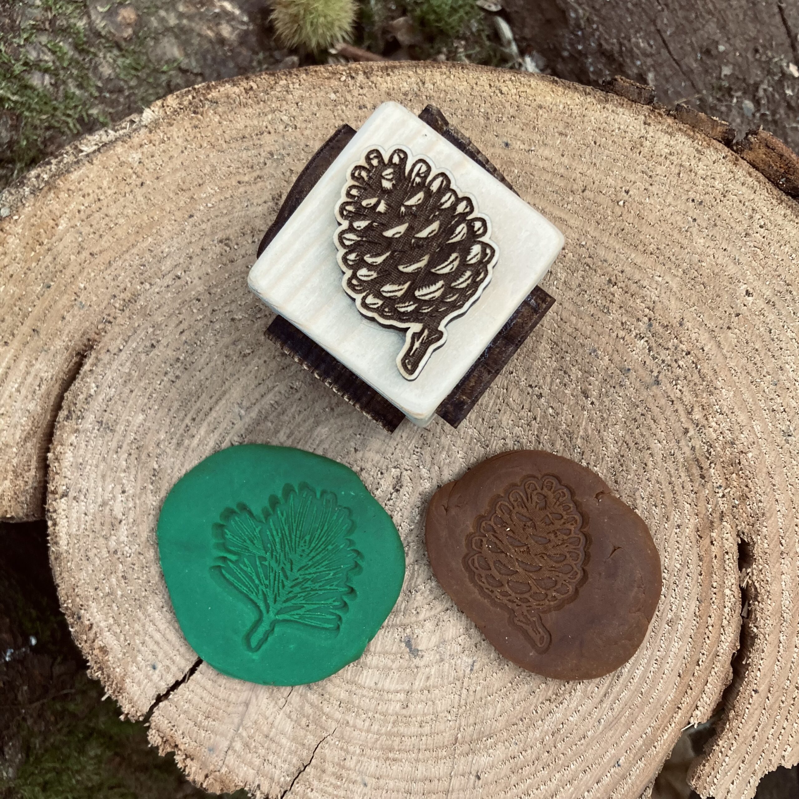 dé tampon pour empreinte sur le thème de l'automne, arbres et et leurs fruits (Chêne, gland, Chataigniers, chataigne, pin et pomme de pin), à utiliser avec la pate à modeler, argile