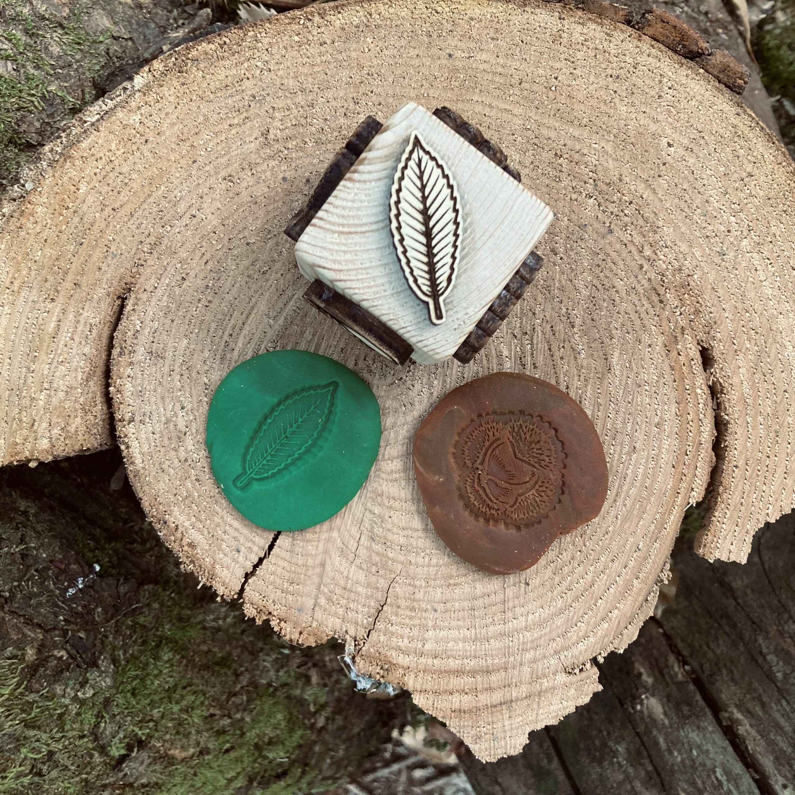 dé tampon pour empreinte sur le thème de l'automne, arbres et et leurs fruits (Chêne, gland, Chataigniers, chataigne, pin et pomme de pin), à utiliser avec la pate à modeler, argile