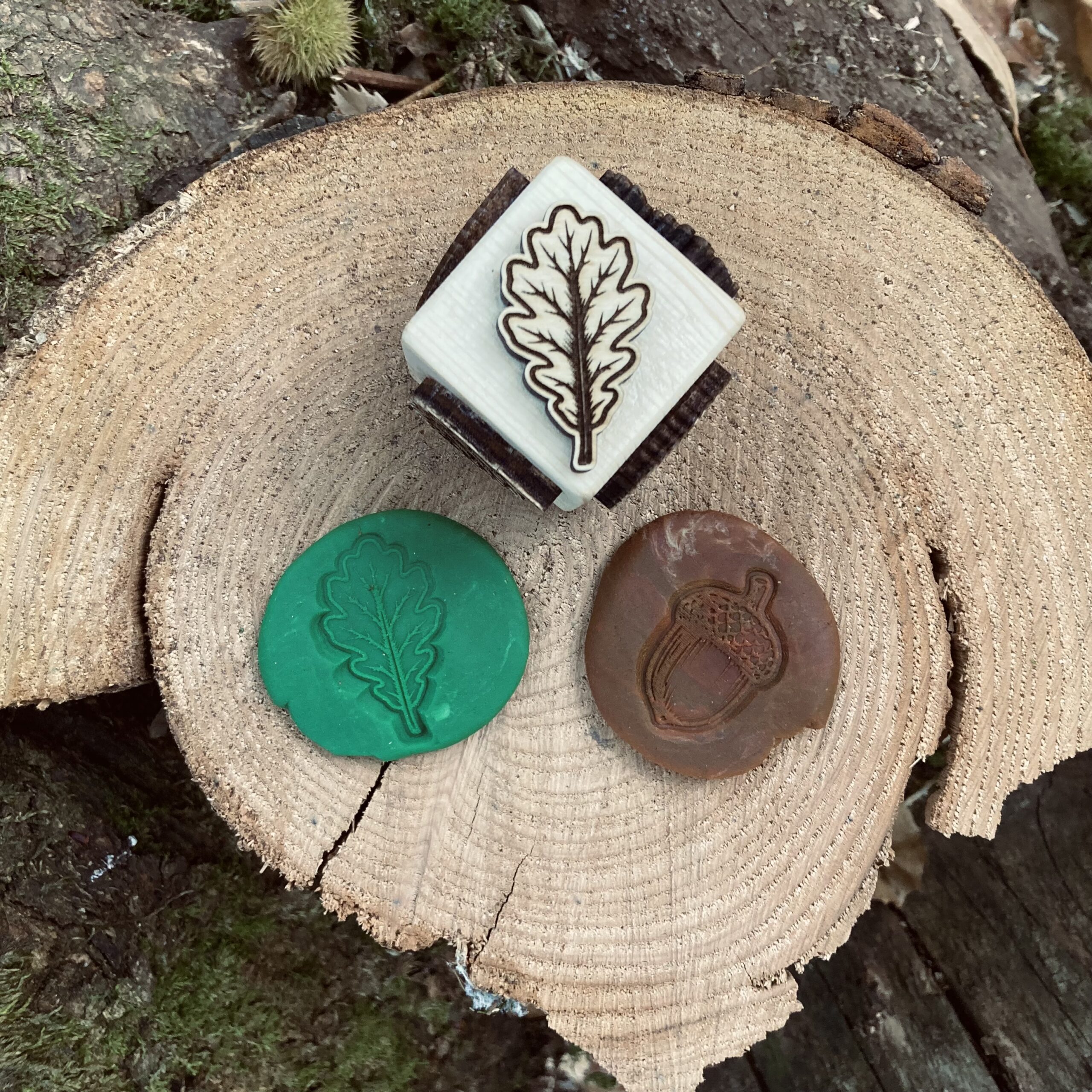 dé tampon pour empreinte sur le thème de l'automne, arbres et et leurs fruits (Chêne, gland, Chataigniers, chataigne, pin et pomme de pin), à utiliser avec la pate à modeler, argile