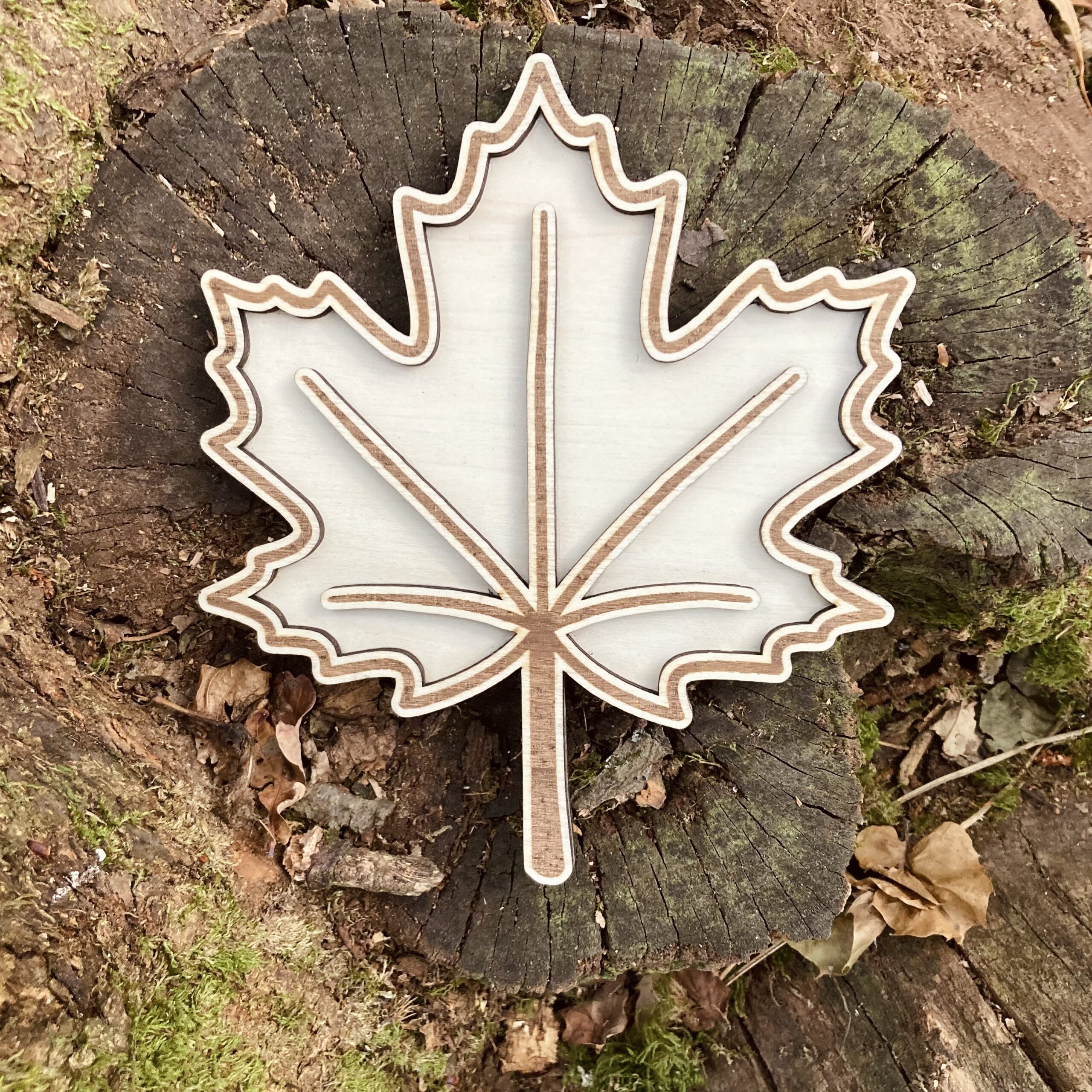 Feuille d'érable à remplir
