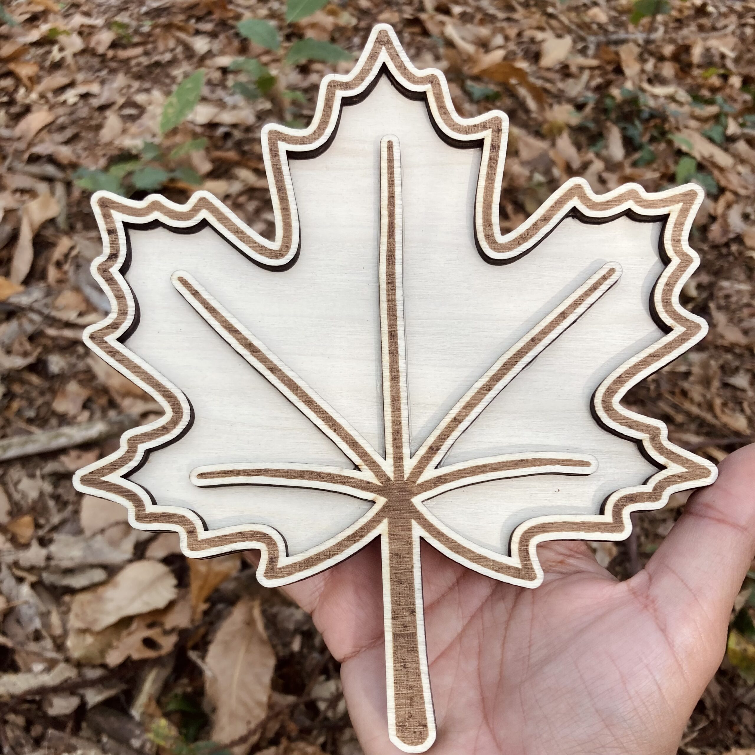 Feuille d'érable à remplir