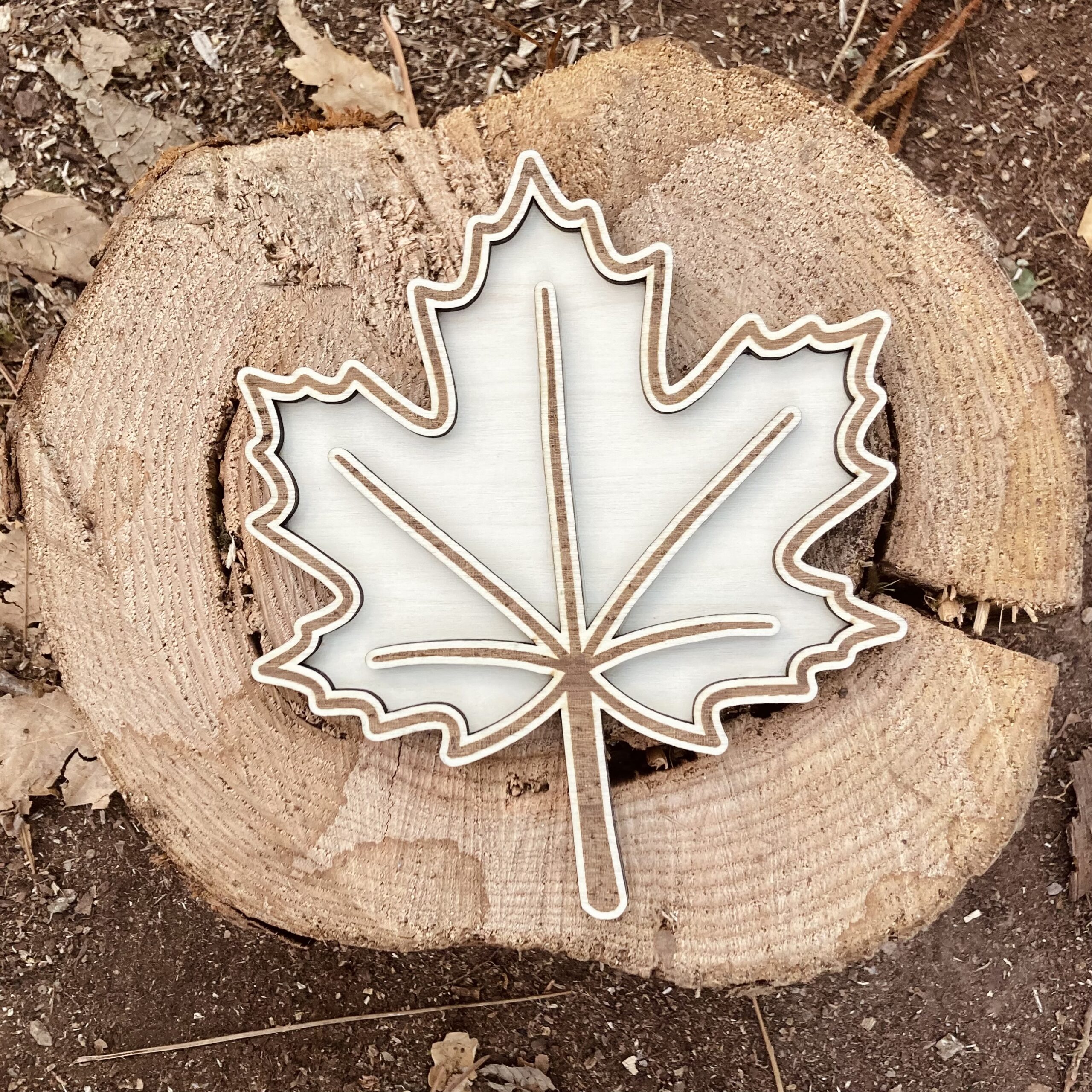 Feuille d'érable à remplir