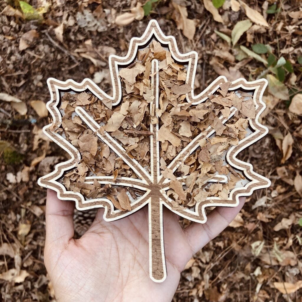 Feuille d'érable à remplir