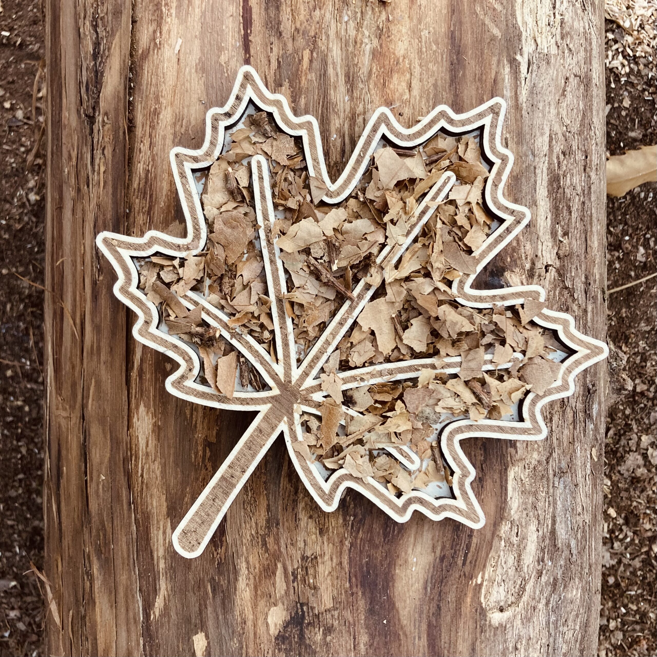 Feuille d'érable à remplir