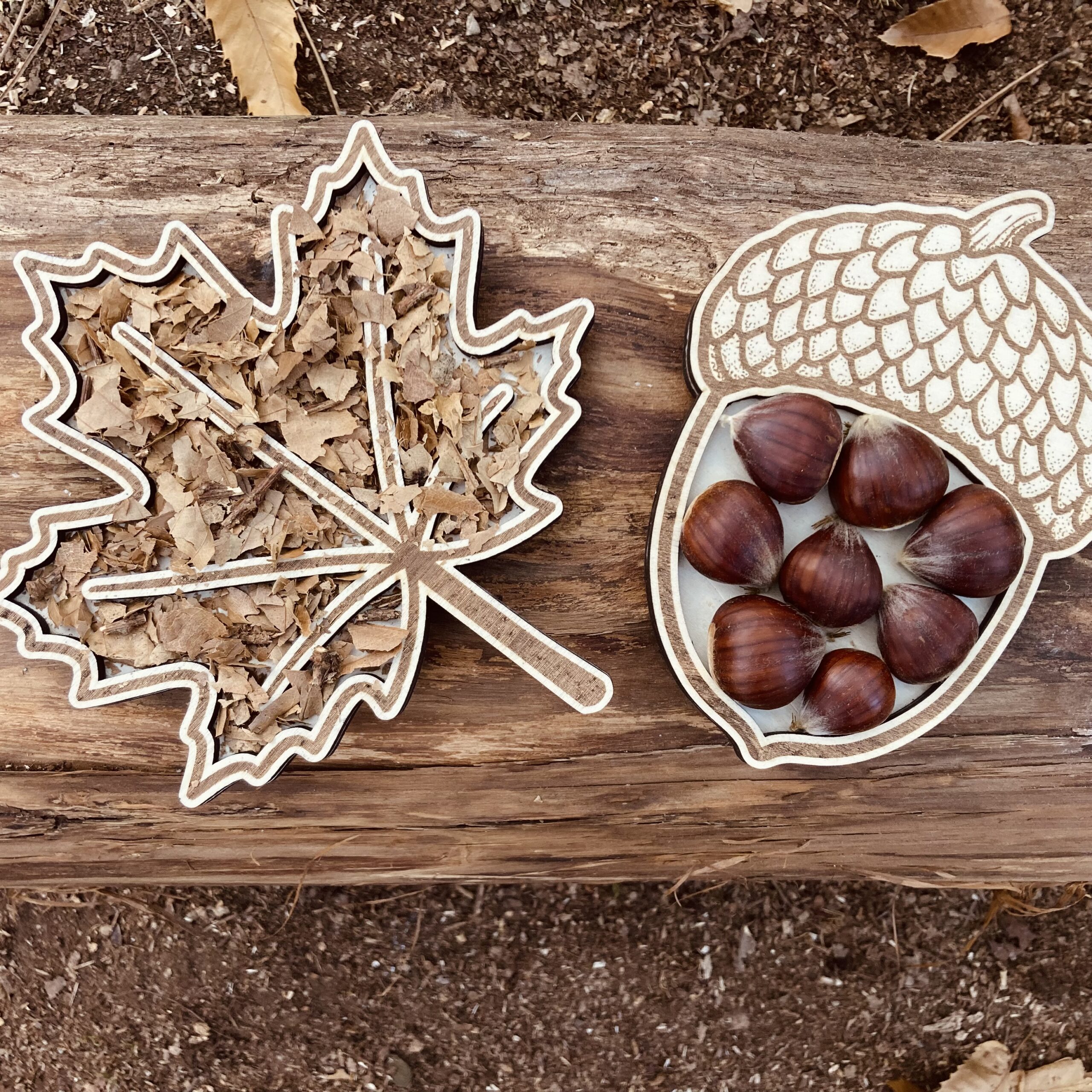 Feuille d'érable et gland à remplir