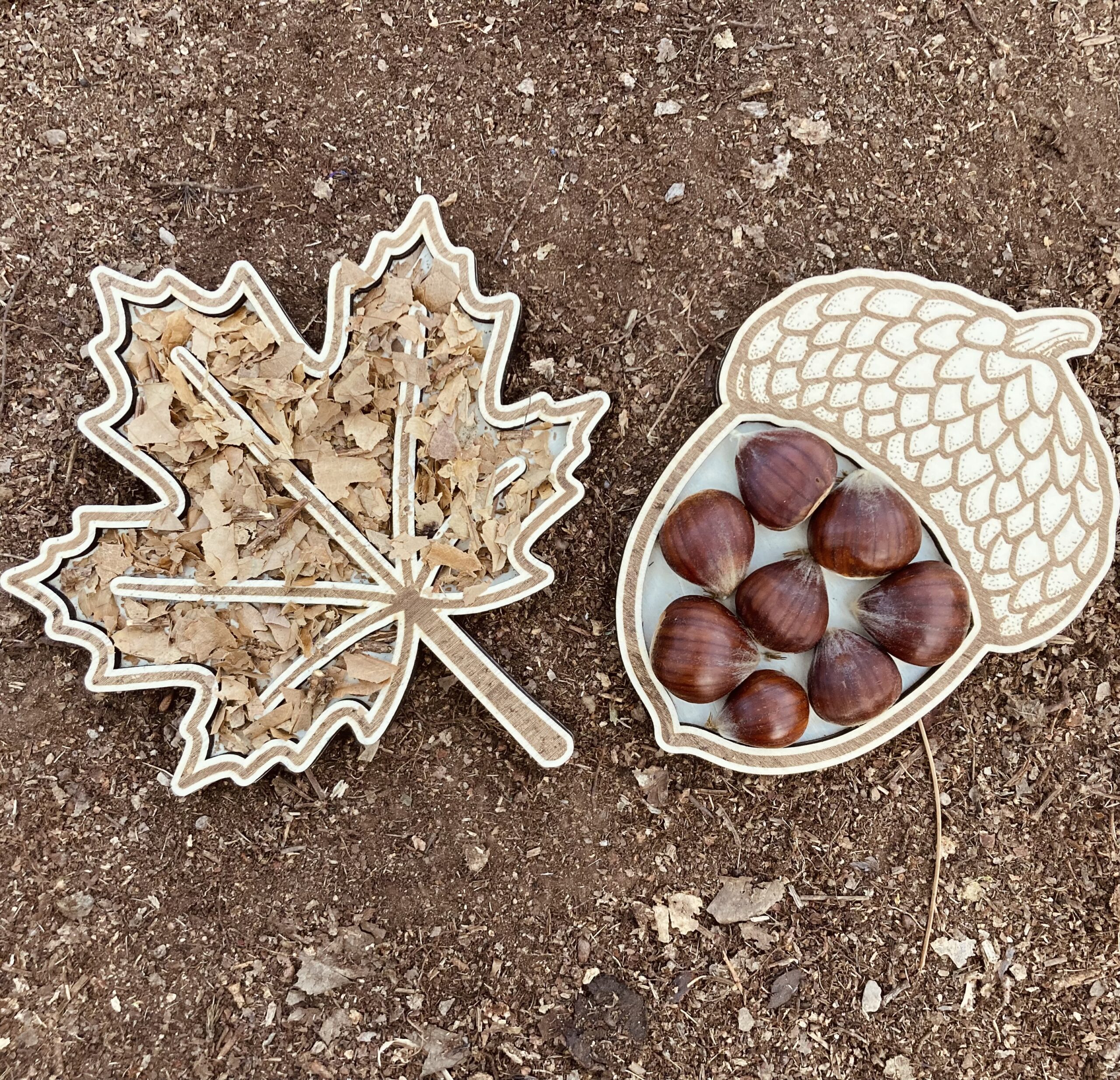 Feuille d'érable et gland à remplir