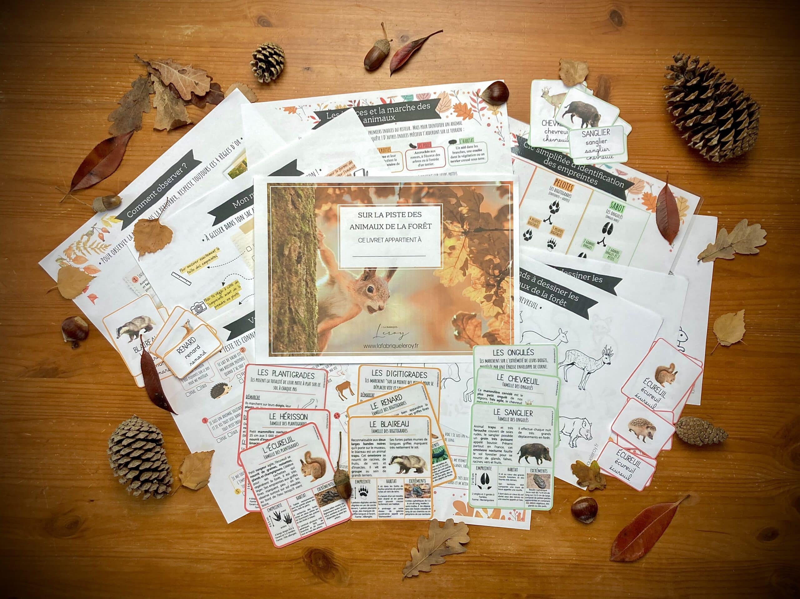 Livret animaux de la forêt à imprimer | La Fabrique Leroy