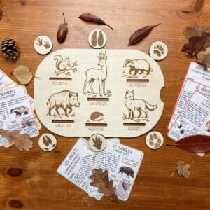 Insert des traces des animaux de la forêt